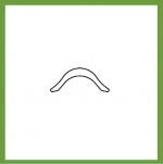 Bumper Strip